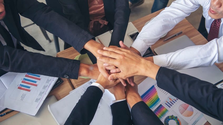 Organizational Trust VSM White Paper